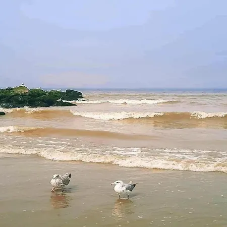 In Near The Beach, Cleaning Included * 니우포르트